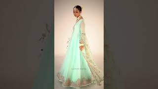 Hand Embroidered Pure Chiffon Sharara - Video 1