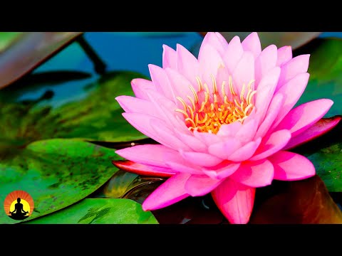Relaxing Spa Music, Sleep Music, Stress Relief, Meditation, Healing, Yoga, Zen, Relax, Sleep, ☯3608