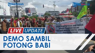 Reaksi Masyarakat Adat di Kalimantan terkait Pernyataan Edy Mulyadi: Potong Babi saat Unjuk Rasa