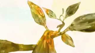 Dana Williams - One More (Official Video)