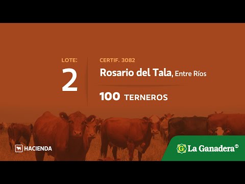 Lote Terneros en Rosario del Tala