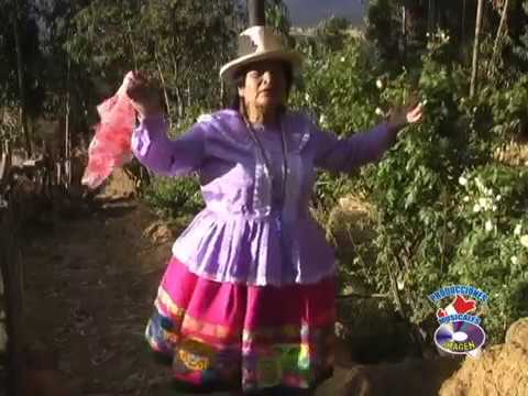 PAISANITA ANCASHINA - AZUCENITA