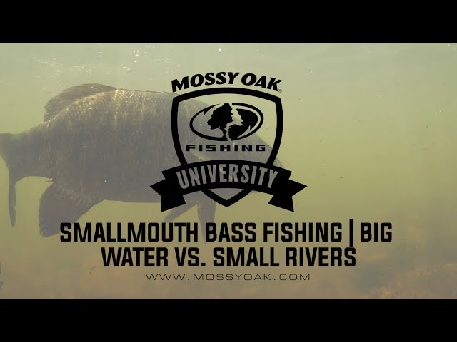Localwaters Flat River Smallmouth Bass Sticker Fishing Michigan
