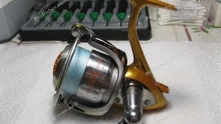 Daiwa advantage 2500