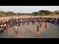 Kuku Maji Show Kali