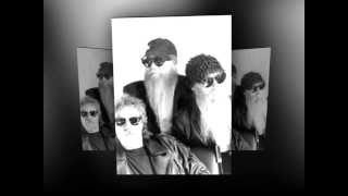 zz top (Somebody Else Been) Shaking Your Tree