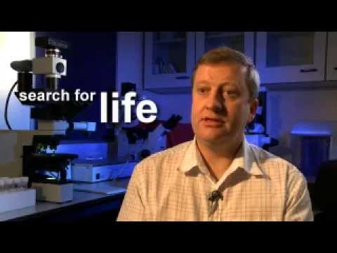 Mystery Beneath The Antarctic Ice | Environment | Before It's News