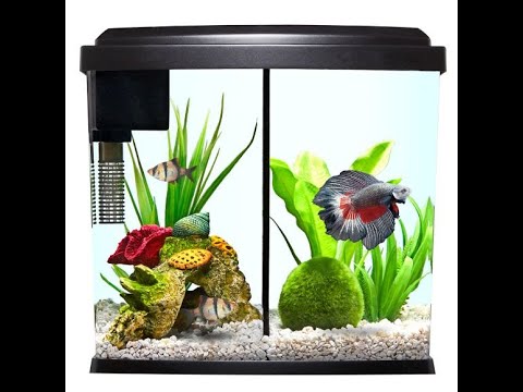 Top Fin Imagine 2.5 review