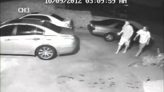 Coyote Attack - Graphic -  Coyotes attack dog in Fountain Valley California