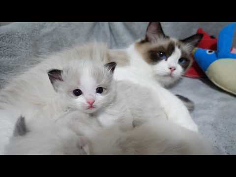 YouTube 썸네일