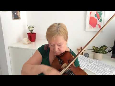 N. Minko - P. Castrucci Concert part III