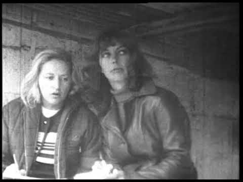 17/03/1973  brands hatch  no world championship F1 F5000 race VIII daily mail race of champions