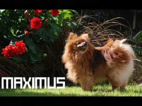 Pain, Guilt, Suffering, Loss, Agony, Freedom, Despair