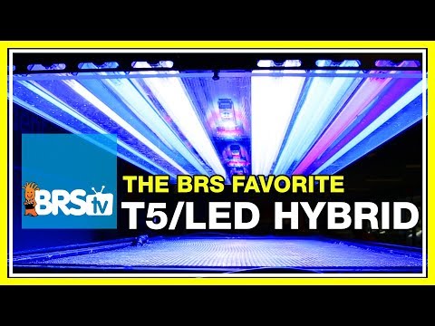 Week 22: Reef tank lighting: What’s on our tanks? The T5 LED Hybrid!  | 52 Weeks of Reefing #BRS160