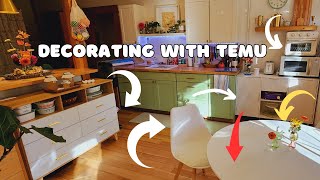 Decorating my Tiny Home with TEMU Furniture, and talking about my Back - Will I return to Van Life?