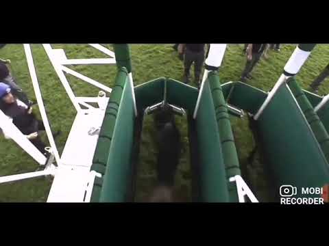 Horse Racing tribute (Running)