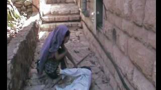 The Good Samaritain New