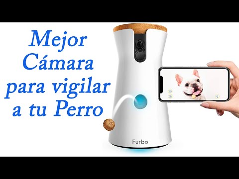 🐶 Vigila a tu perro - Mejor cámara para perros 2021 ✅
