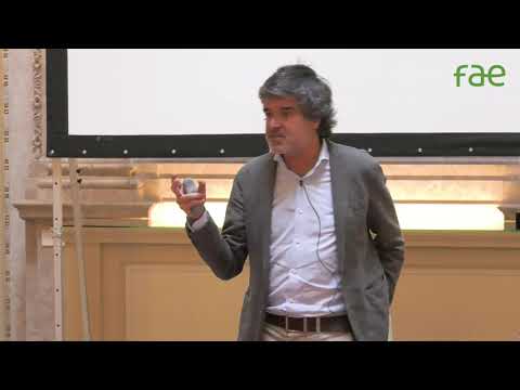 Rui Paiva debate internacionalização das empresas