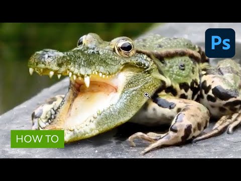 Photoshop for Beginners FREE COURSE