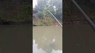 Download lagu mancing ikan nilem di air keruh.. mp3