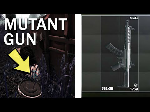I Found the New Mk47 Mutant Gun in a Hidden Stash (Where / How to Find Mutant in Escape From Tarkov)