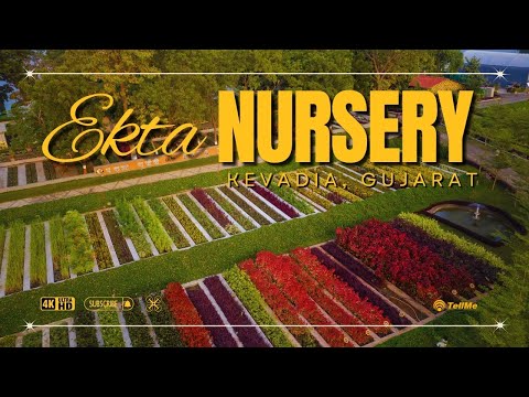 Exploring the beauty of Ekta Nursery | Kevadia | Gujarat