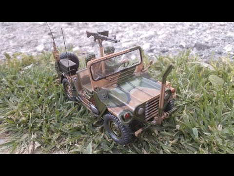 CBD for Cats Video Preview