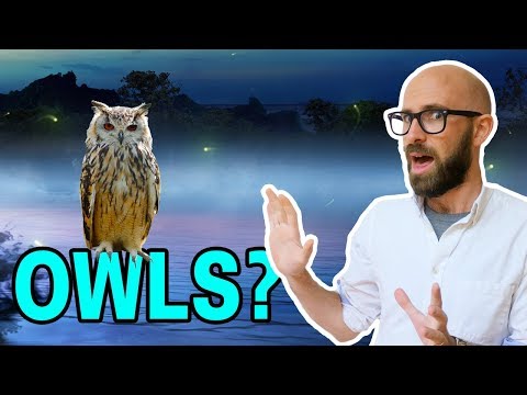 What Causes 'Wil-o-the-Wisps"?