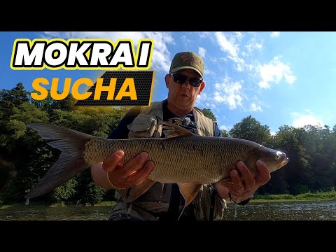 Mokra i Sucha || super bonus || wet & dry || flyfishing #traper