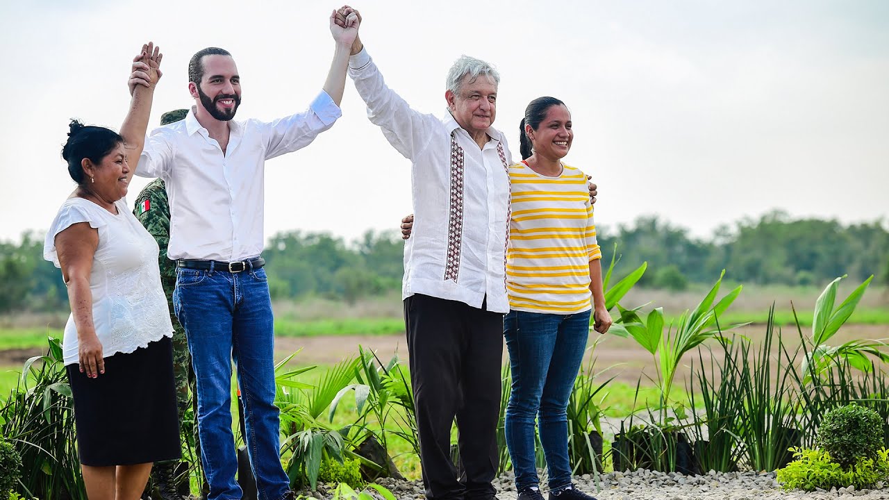 'Sembrando Vida', Plan de Desarrollo para la Migración, desde Tapachula, Chiapas