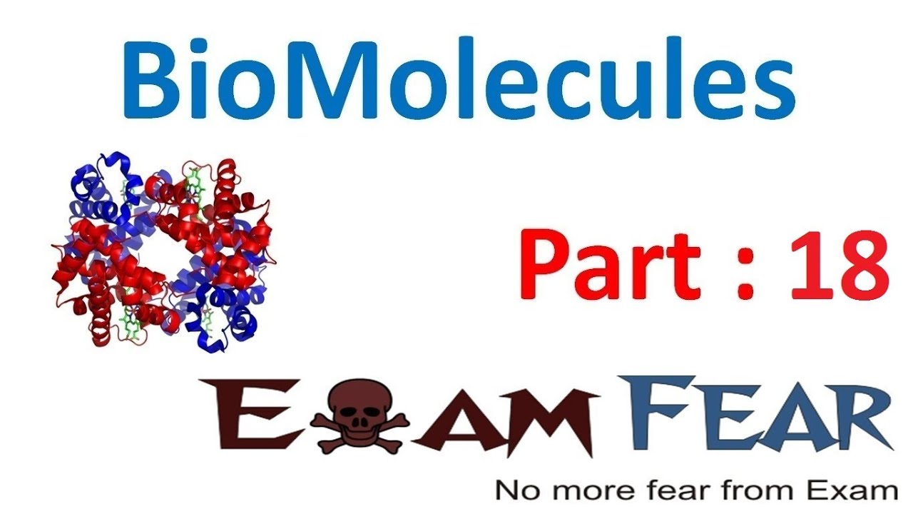 Chemistry Biomolecules part 18 (Denaturation of proteins, Examples) CBSE class 12 XII