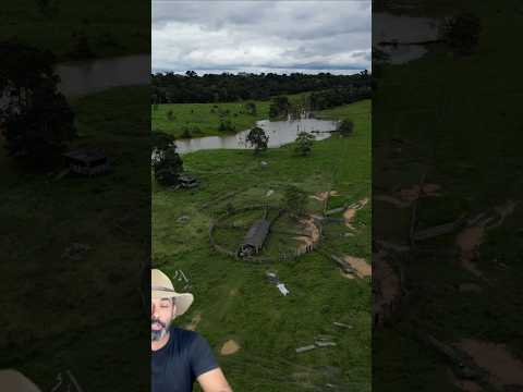 Fazenda a venda de 268 há em Ariquemes - Rondônia, Farm for sale in Brasil