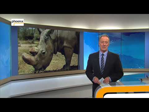 Trailer „der Tag“ am 20.03.2018