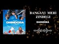 Bangayi Meri Zindegi Lofi Slow Reverb Dhindhora New Song Dhindora Song Lofi Slowreverb