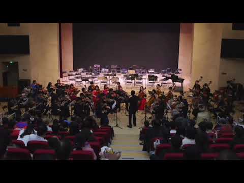 Dvorak op.100 Sonatina for string orchestra by Beijing RMO Chamber orchestra 1st movt.
