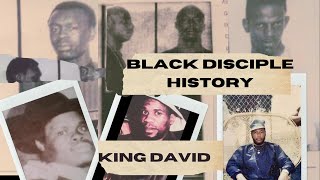 (Detailed) Black Disciple History Part 1 (1960s) | Chicago Gangs (BDs)