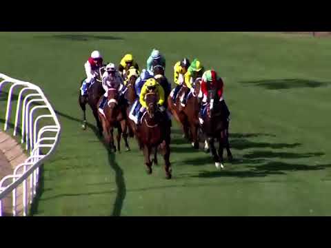 2022.07.02 Gold Vase (RSA) - Black Thorn