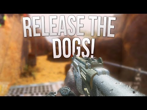 RELEASE THE DOGS!