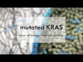 Cancer Cell Biology Mutated KRAS Reciprocal Signalling