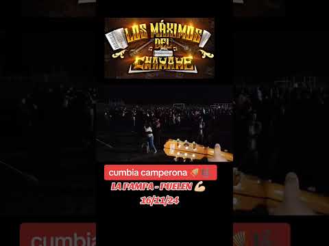 Los Máximos del chamamé 💥 ❌ La pampa - Puelen 😊🪗🎸🎤🇦🇷💪🏻