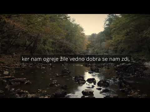 Matjaž Perenič - Naj teče slivovica