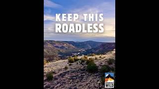 Protect the Roadless Rule: New Mexico Virtual Public Hearing