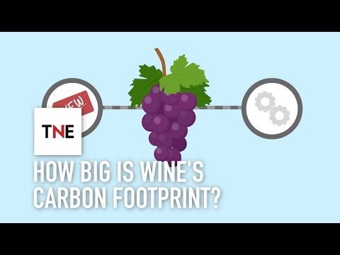 How big is wine's carbon footprint, and how can technology reduce it? | The New Economy