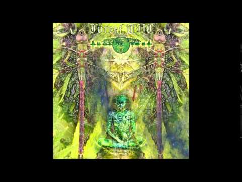 05 - Bizzare frequenCy - Ancestral meditation (151BPM) Darkpsy/Forest