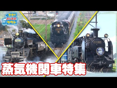 アメリカの蒸気機関車(ホワイト表記)
