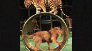 Enter the Circus and Welcome Christina Aguilera