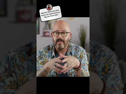 My worst experience on "My Cat From Hell" was... #shorts