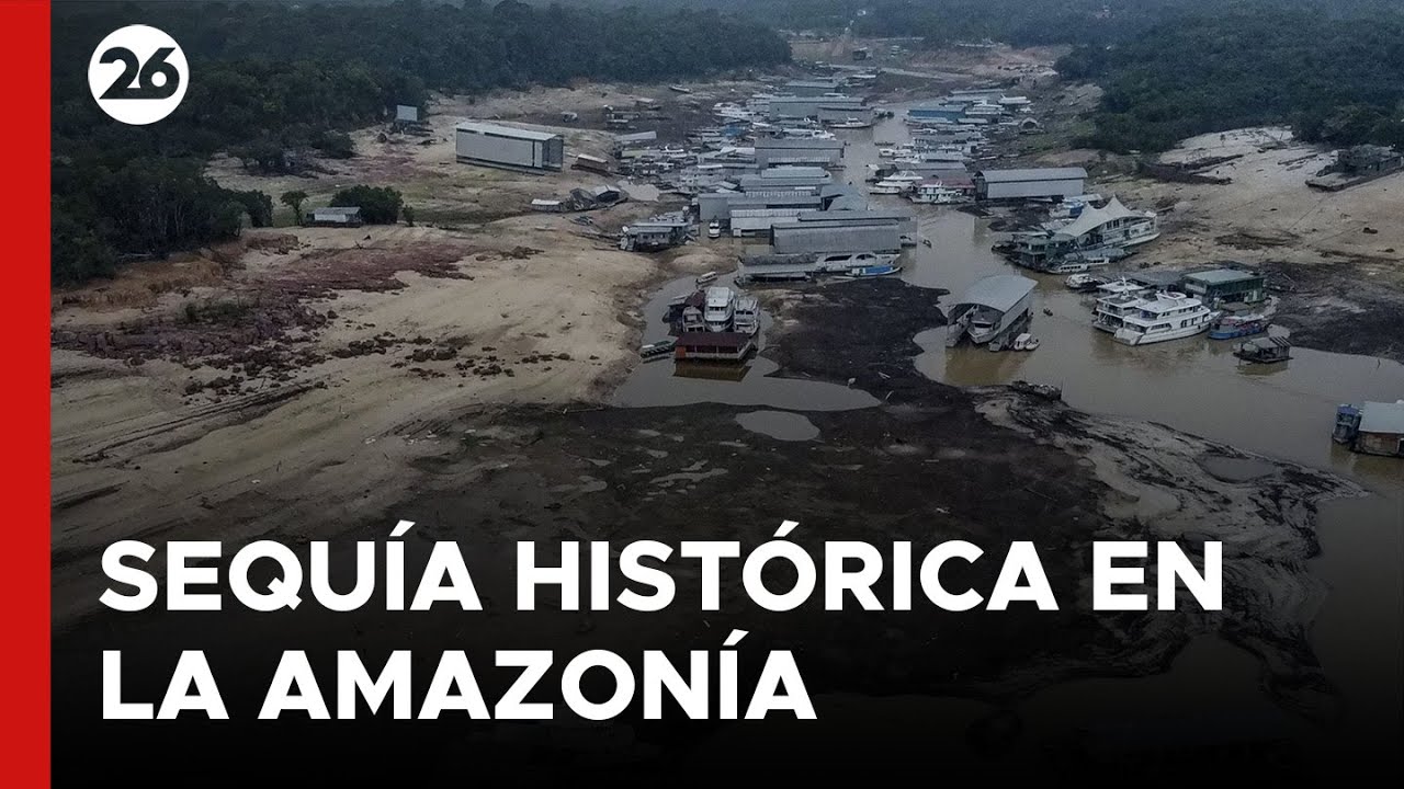 Sequía histórica en la Amazonía: ríos alcanzan niveles críticos | #26Global