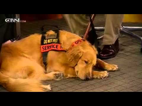 Luis Carlos Montalván: Hasta el martes - CBN.com